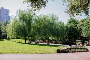 Glenwood Cemetery Landscape