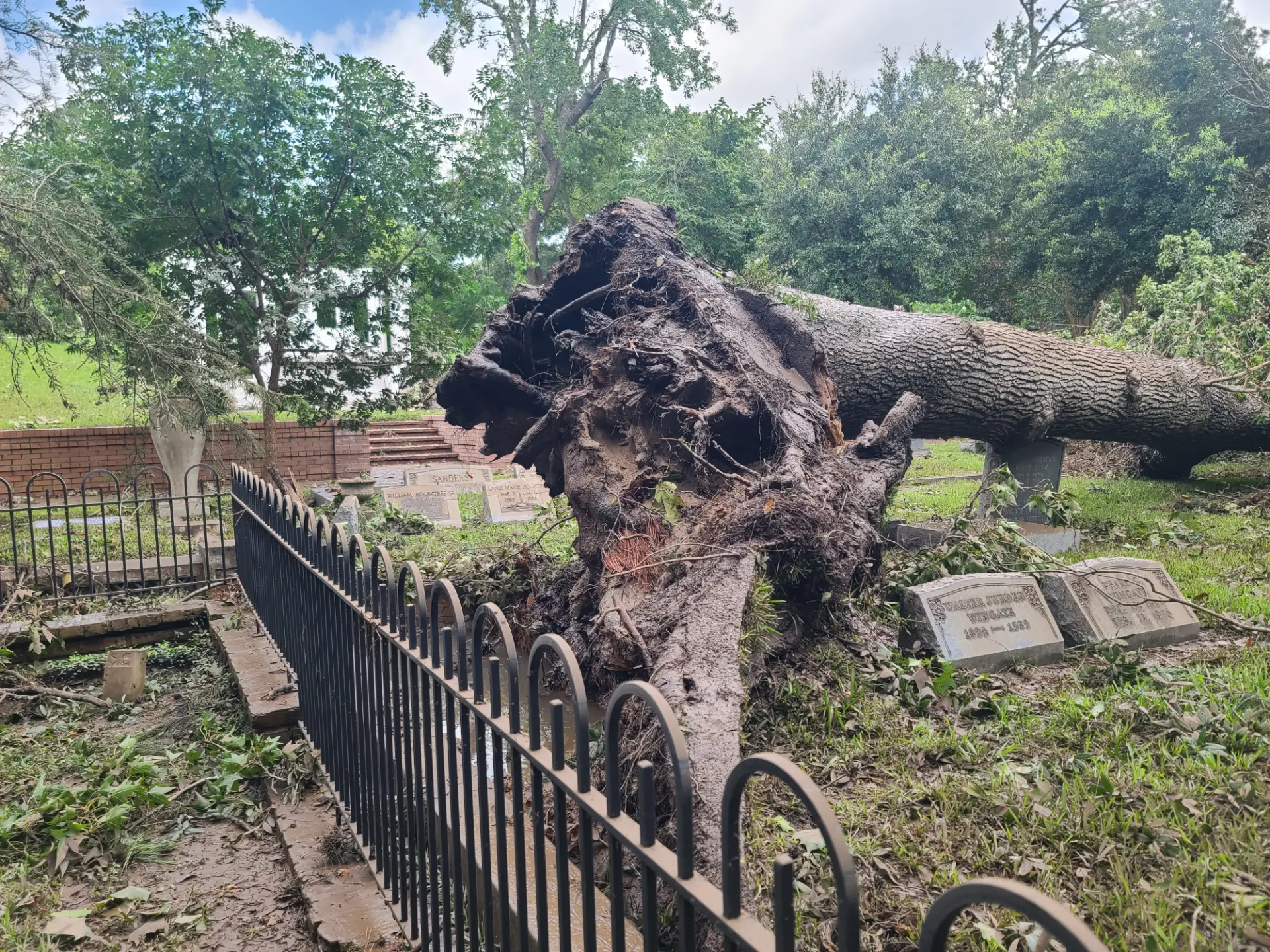 Hurricane Beryl Damage