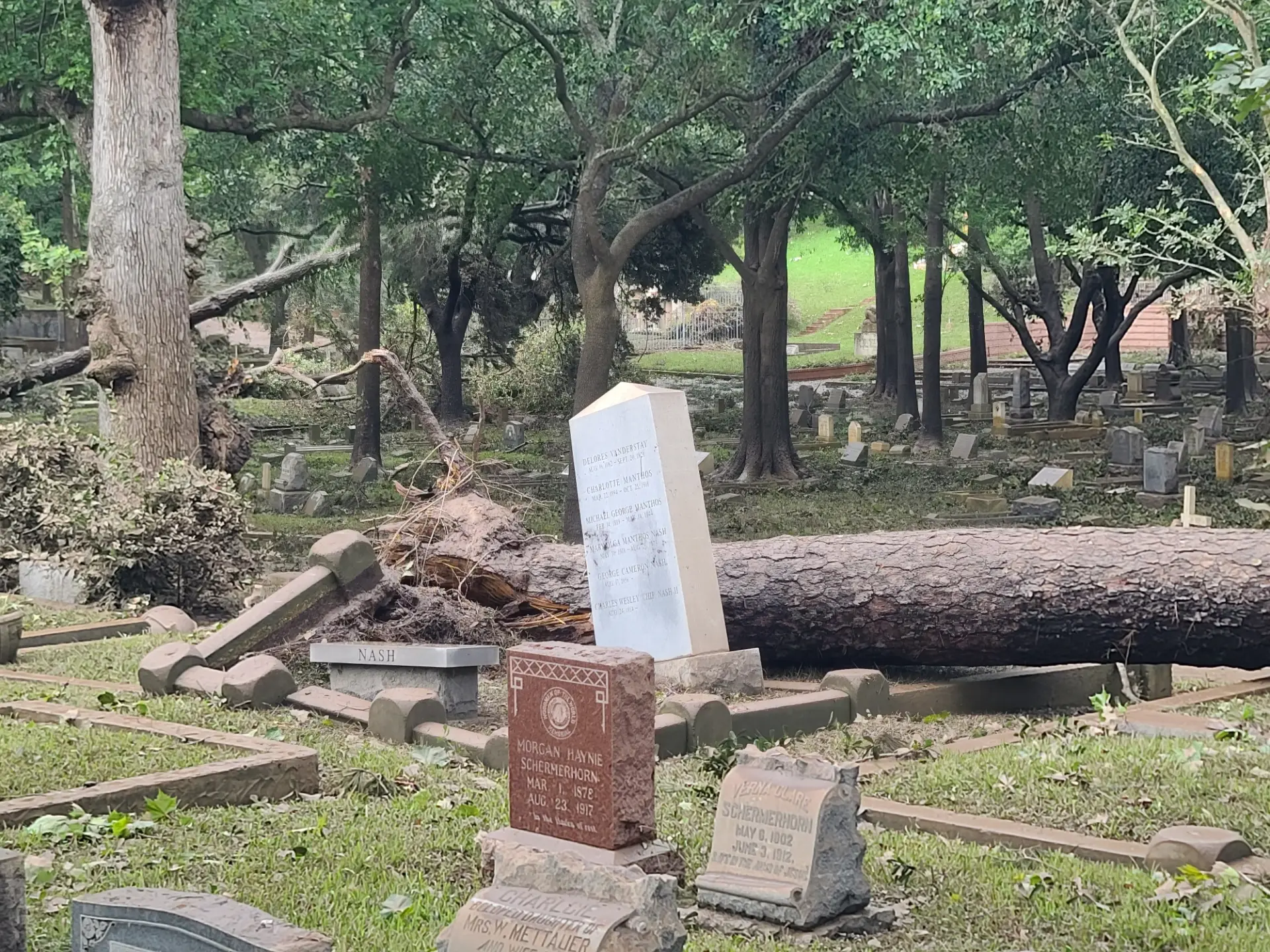 Hurricane Beryl Damage