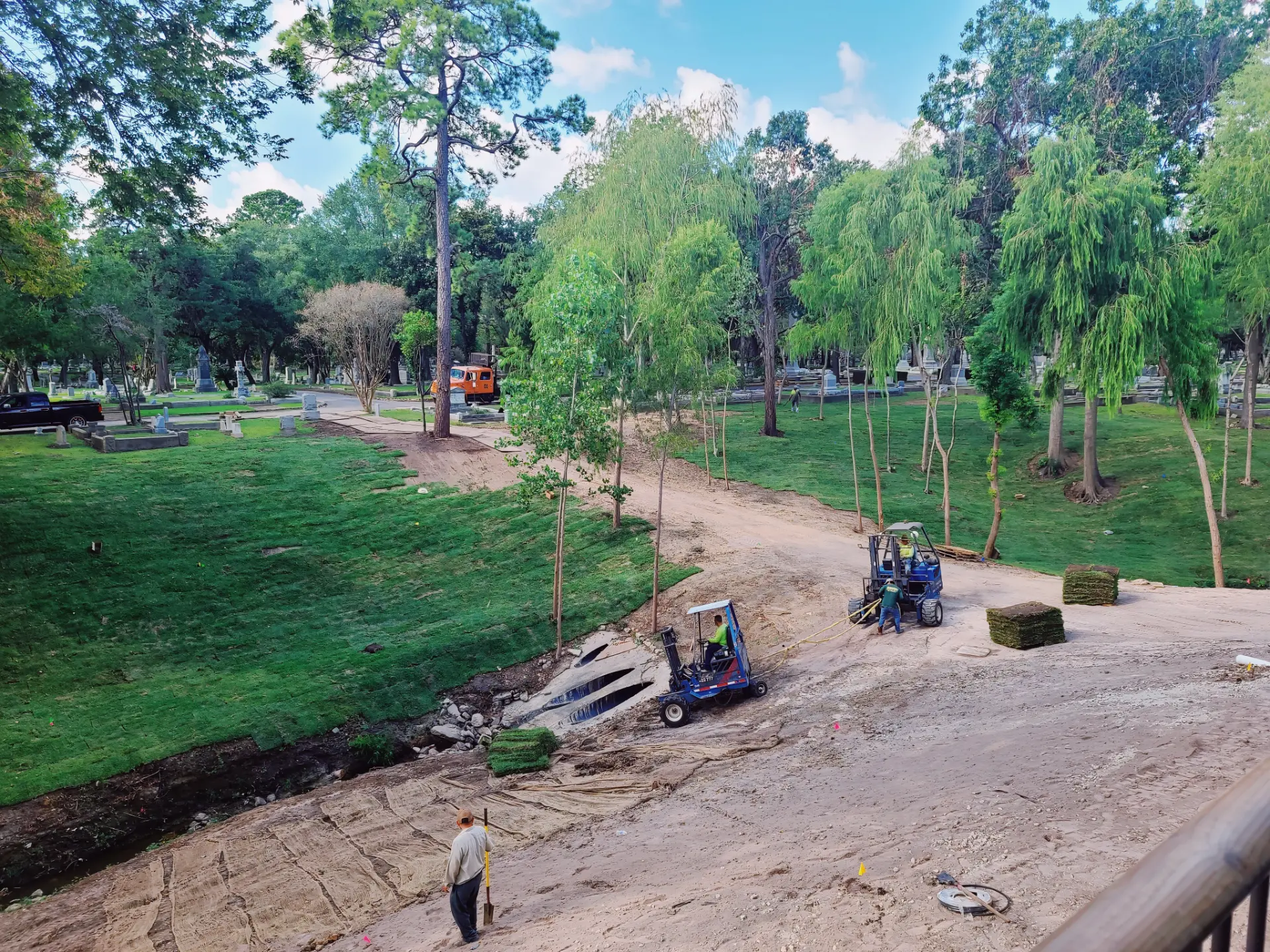 Ravine Stabilization